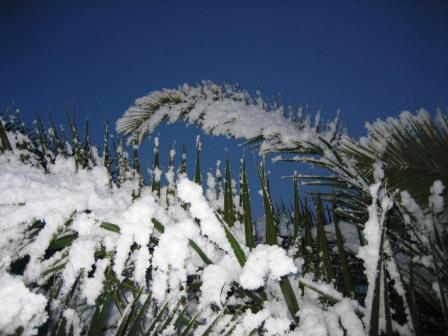 Schnee-Puglia_1.jpg