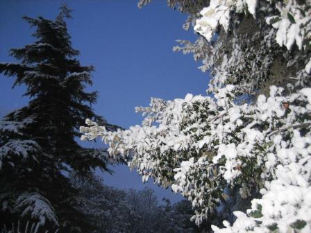 Schnee-Puglia_2.jpg